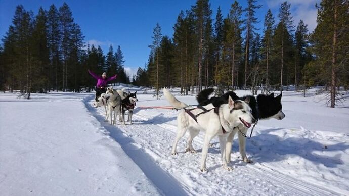 Voyage multi-activités en Laponie finlandaise chez l'habitant - Joh et Max