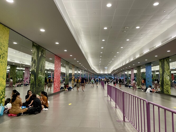 IMG_4940