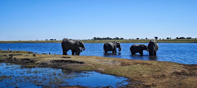 IMG_20240518_111645