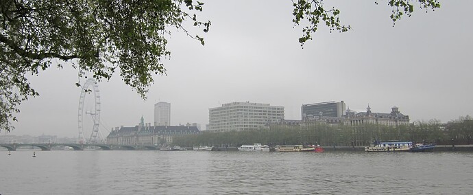 IMG_0870