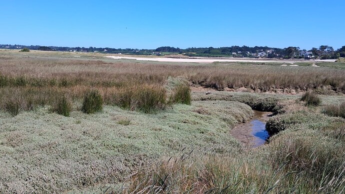 IMG-20250709-WA0019(1)
