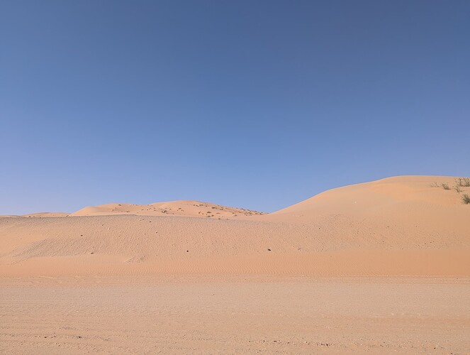 PXL_20250417_050737143_1