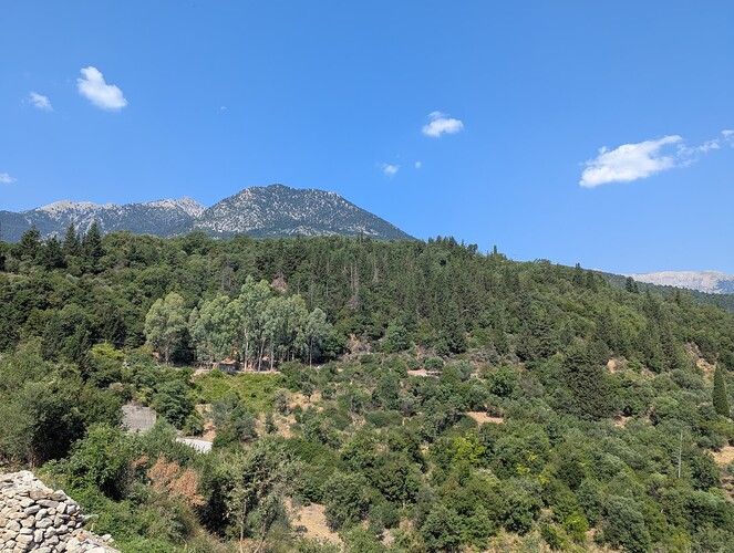 PXL_20250717_074445344_1
