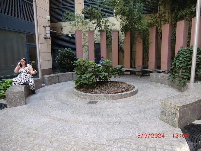 CIMG1185