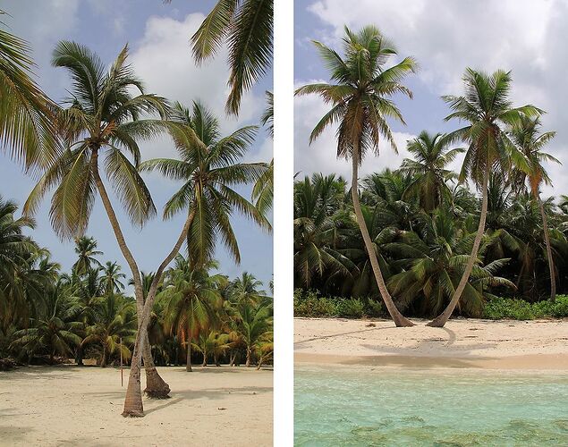 Dans les Caraïbes, d'îles en îles ... souvenirs. (troisième partie, de République Dominicaine à Key West ) - jem