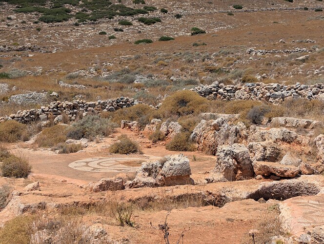 PXL_20250721_100553569_1