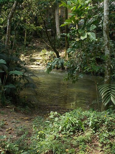 En passant par Palenque - 3 jours de camping au Chiapas (Mexique) - Aymee