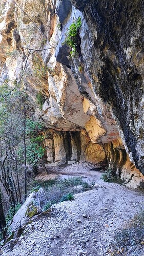 IMG_20251024_133630