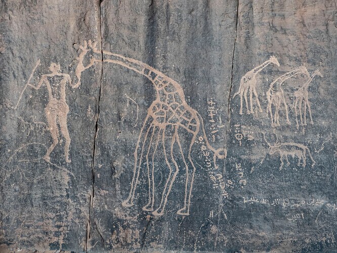 Gravure rupestre : girafes, humain et bovin