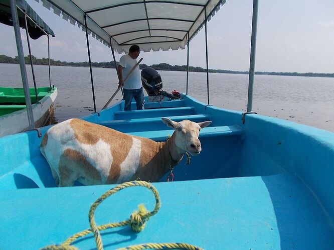 En passant par Palenque - 3 jours de camping au Chiapas (Mexique) - Aymee