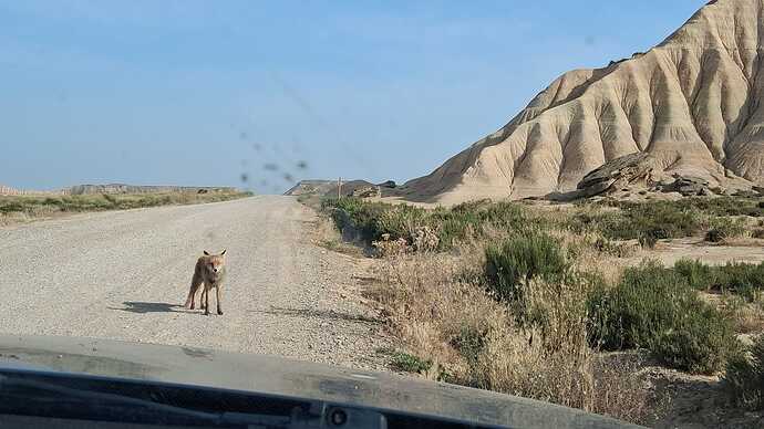 IMG-20250610-WA0031