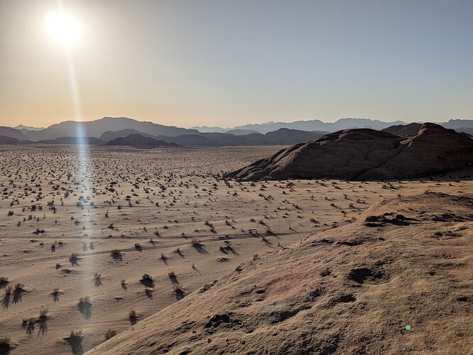PXL_20250428_151735673
