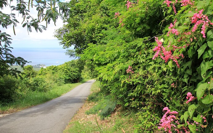 Sur la route du ... Paradis