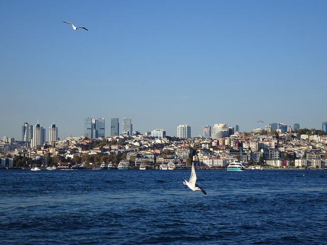 DSC04962_1