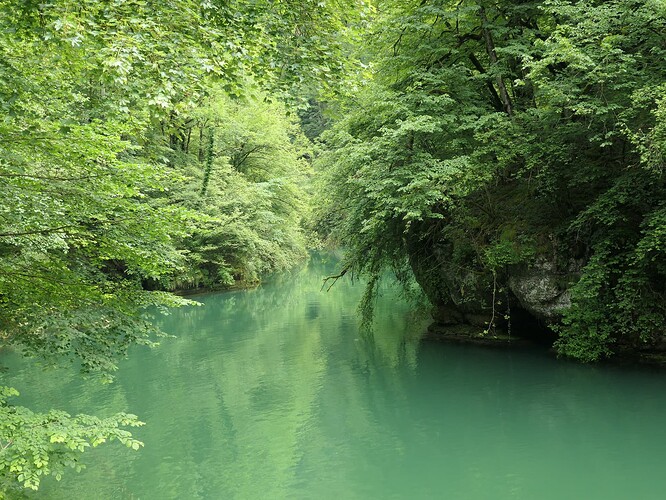 5_1_source de la Loue_31_P1011384