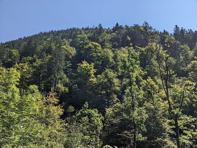 PXL_20230815_103049442_1