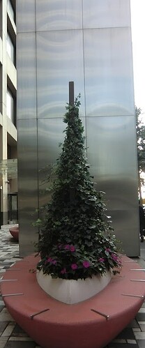 CIMG090222