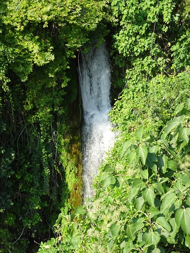 DSC04186_1