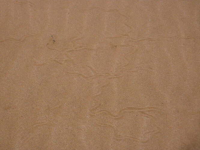 P1150331