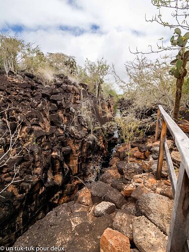 12 jours aux Îles Galápagos en autonomie, c'est vraiment merveilleux! - un-tuk-tuk-pour-deux