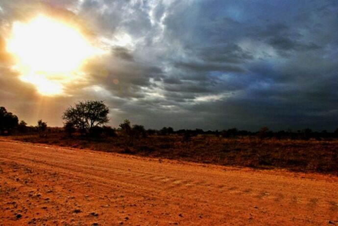 safari dans le Kgalagadi transfrontier park et le kruger national park - marsouin59