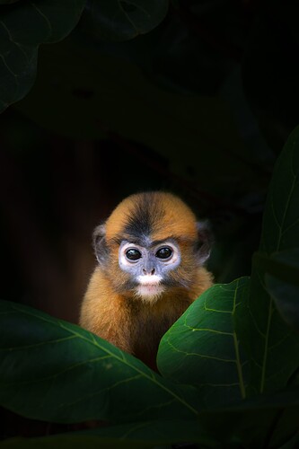 IMG_6125_DxO-5