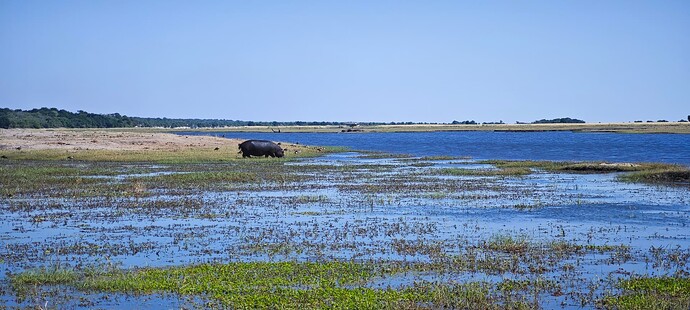 IMG_20240518_111724