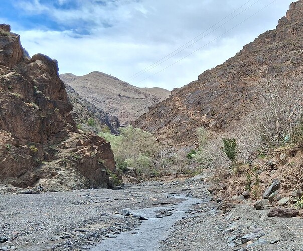IMG-20250505-WA0005~2