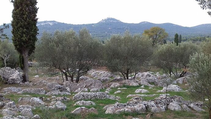 Octobre en Dalmatie - doume54