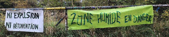 IMG_20251016_165510373_HDR