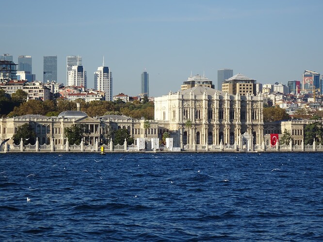 DSC04950_1