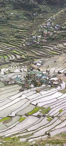 IMG-20260212-WA0009