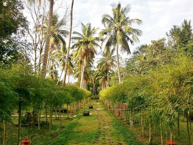 18 jours au Vietnam du Nord au sud, janvier 2018, jour 13 à 19 - lolotte34