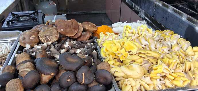 IMG-20251118-WA0012