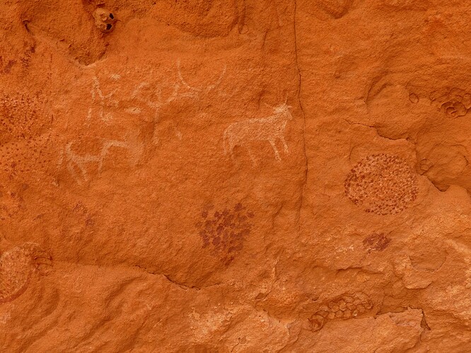 Peintures rupestres