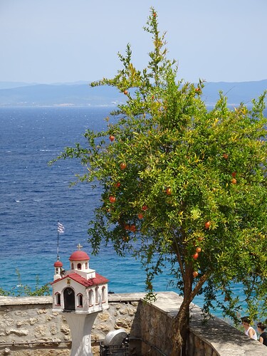 DSC04480_1
