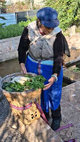 IMG-20251031-WA0032(1)
