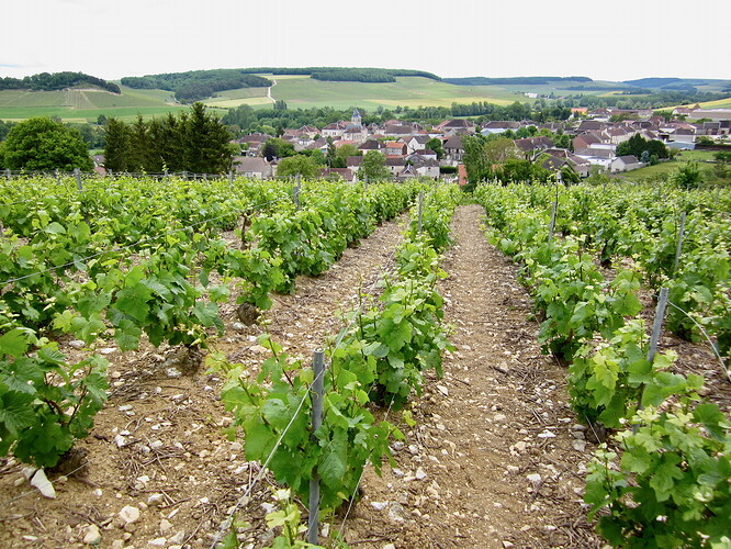 La Côte des Bars
