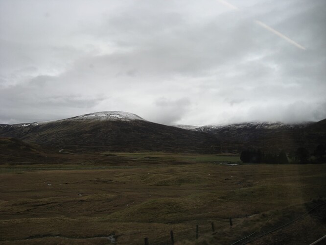 Ecosse (398)