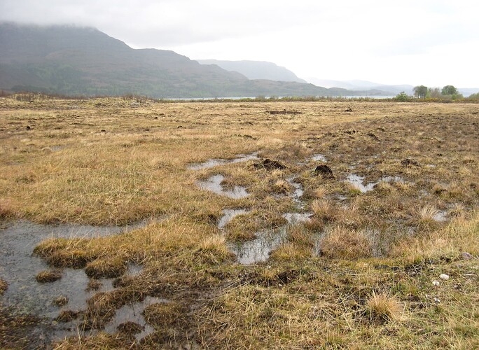 Ecosse (253)1