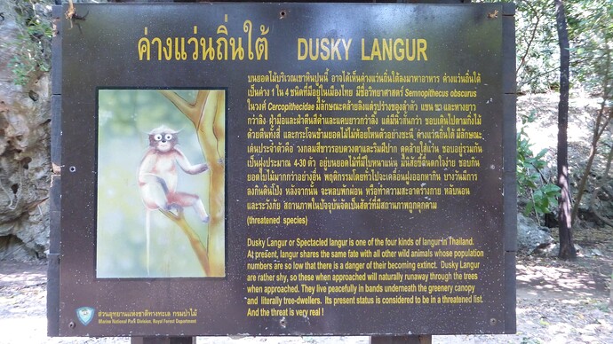 P1020091