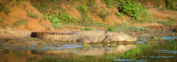 Ayubowan, Sri Lanka - rosie31 Ayubowan, Sri Lanka - rosie31