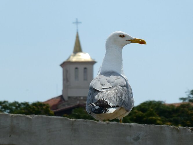BULGARIE Nessebar (45)