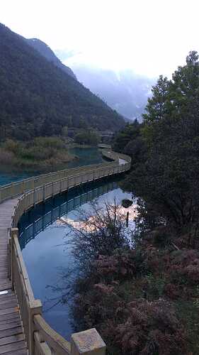 IMG-20251124-WA0010