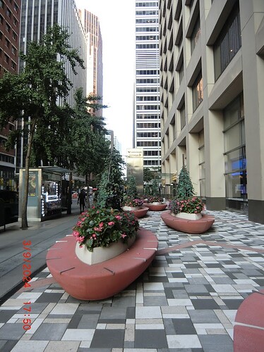 CIMG0904