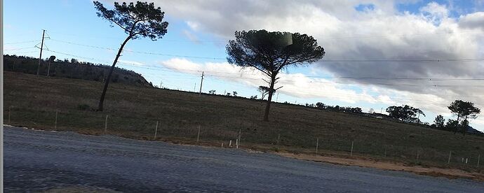Afrique du Sud: ...on the roads! (1-Région du Cap) - Rouletabosse777