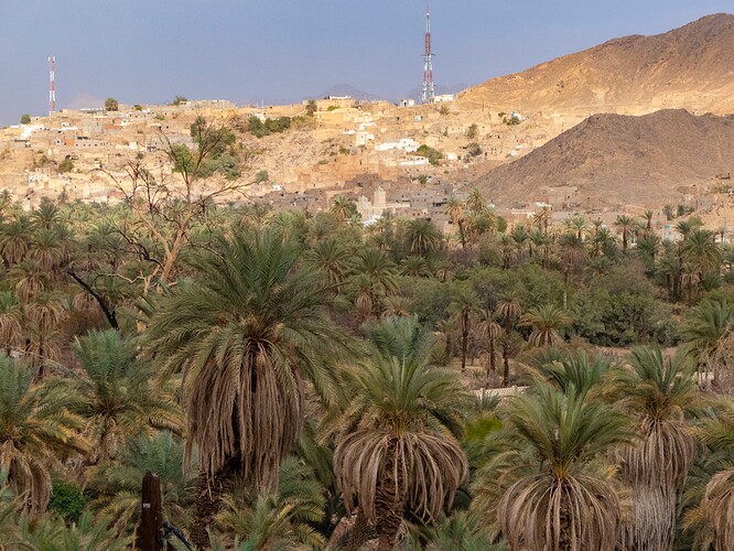 Hauteurs du ksar Adjahil et vue sur le ksar El Mihan