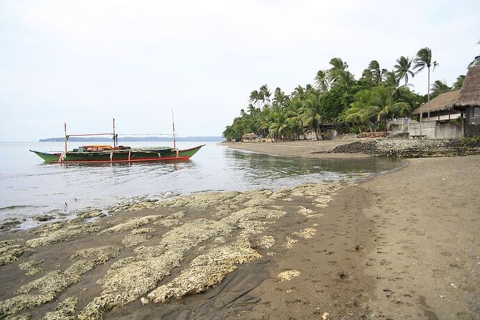 3 semaines de rêve aux Philippines  (1/3) - lolotte34