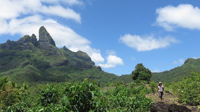 DE RETOUR D'UN MOIS EN POLYNESIE - tontonvin