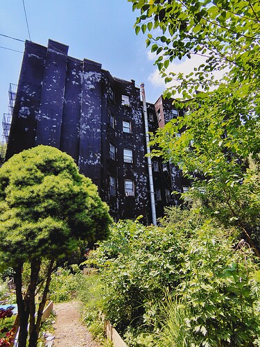 IMG_20250612_141216354_HDR
